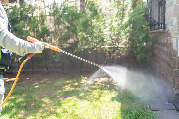 Best Lawn Pest Control  in Belton, SC